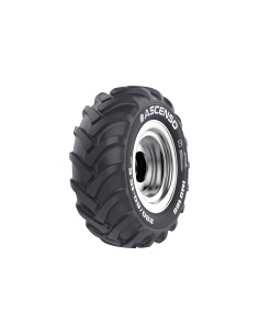 ASCENSO 280/60-15.5 116A8/128A8 IMP TL IMB166 2