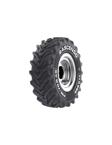 ASCENSO 650/75R38 169D R1-W TL XLR880